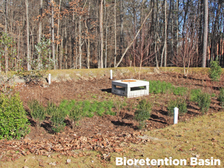Bioretention Basin