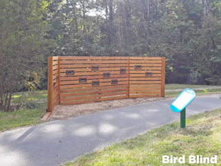 Bird Blind
